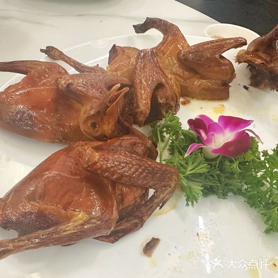 大山乳鸽