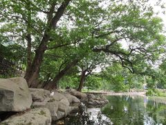 -鹿亭中村