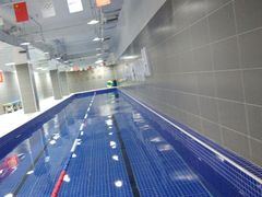 -小蓝鲸游泳培训基地(积水潭店)