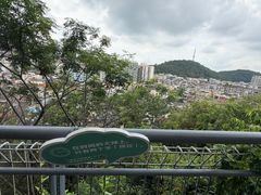-佛山华盖山公园