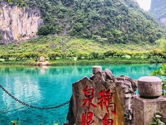 -靖西鹅泉风景区