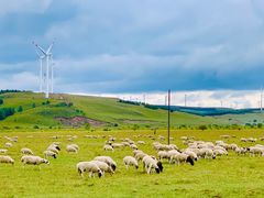 -塞罕坝国家级自然保护区