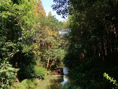 -同里国家湿地公园