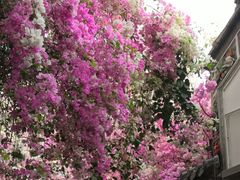 -人民公园(罗湖区)