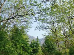 -崂山九水游览区
