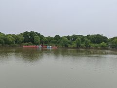-南汇桃花村