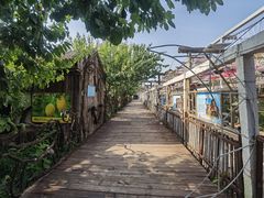 -呀路古热带植物园