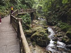 -峨眉山风景名胜区