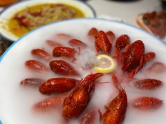 -杨氏青龙虾·羊蝎子(托乐嘉店)