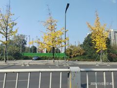 -金色印象·HiFi影音·按摩足疗(龙腾路店)