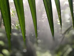 -青青世界