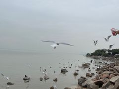 -深圳湾公园(南山区)
