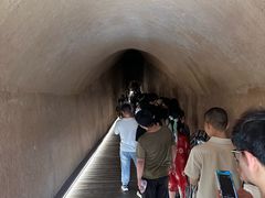 -洛阳古墓博物馆