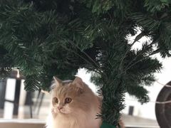 -P.T HERO私人健身工作室(吾悦国际店)