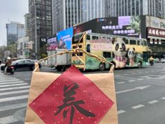 -蜀大侠火锅(总府路店)