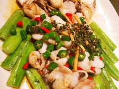 鲜花椒蒸桂花鲈-猪肉婆私房菜(容桂总店)