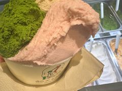 -鹤茶野所(上海首店)