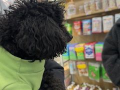-艾贝尔宠物医院 ·中兽医·宠保定点(北门桥店)