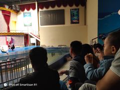 -运城海洋馆