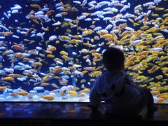 -成都浩海立方海洋公园