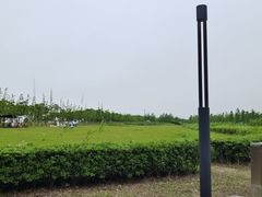-春花秋色城市公园