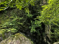 -牛背梁国家森林公园