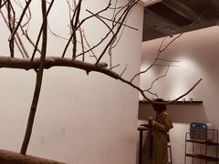 -喜茶(深圳海岸城店)