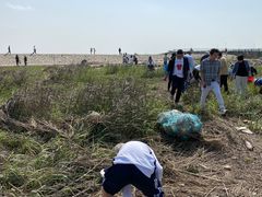 -南汇嘴观海公园