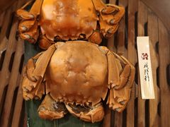-成隆行·蟹王府(九江路店)