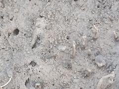 -北海金海湾红树林生态旅游区