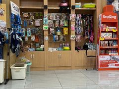 -瑞派名望志远动物医院·猫科·內科·异宠专科(直港大道店)