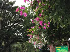 -小南山公园