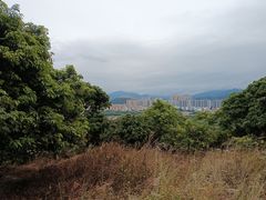 -风云岭森林公园