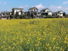 -桤木河湿地公园