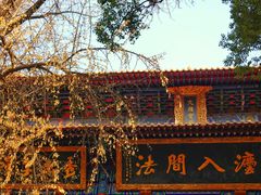 -宝通禅寺
