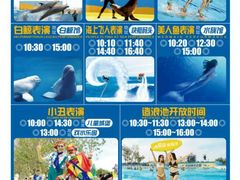 -秦皇岛乐岛海洋王国