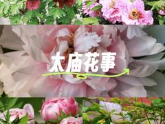 -北京市劳动人民文化宫(太庙)