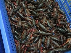 -渔人湾码头海鲜市场负二楼