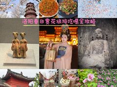 -洛阳市牡丹公园