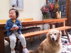 -两棵枇杷树