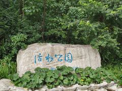 -成都市活水公园