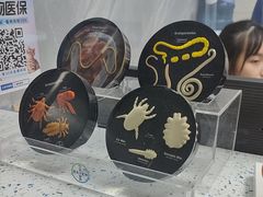 -半岛宠物医院24小时(白果林店)