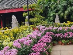 -峨眉山报国寺