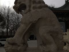 -国家图书馆·古籍馆