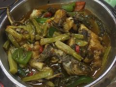 -利杨记·本味轩粥坊·烧烤(宝体店)