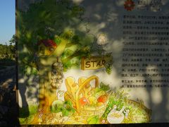 -滆湖低碳生态公园