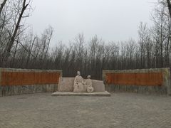 -合肥滨湖国家森林公园