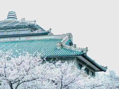 -武汉大学-樱园
