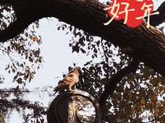 -无锡梅园公园