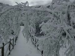 -太子岭滑雪场